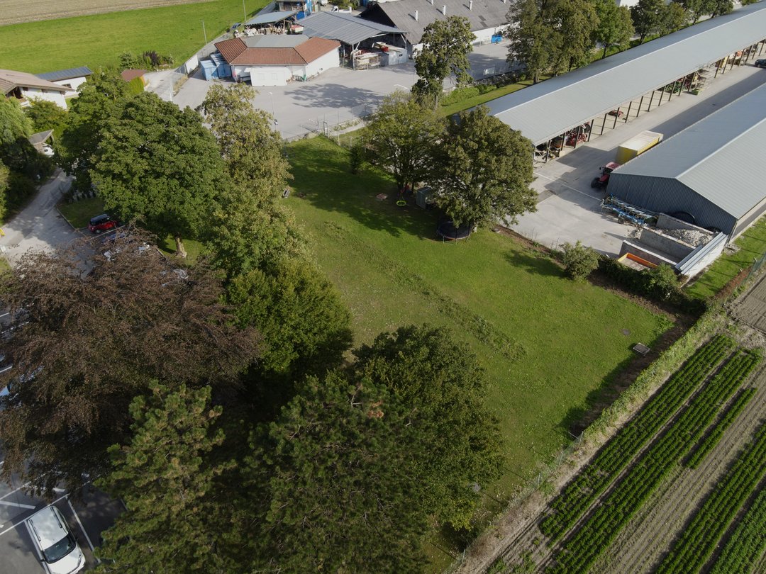 dji_fly_20240919_162540_103_1726756007365_photo